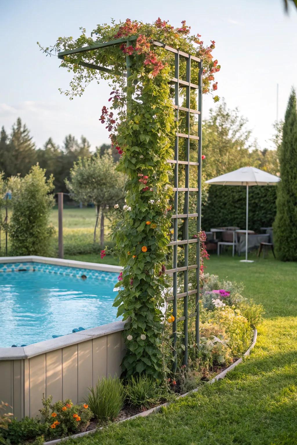 A vertical flora trellis offers privacy and a lush atmosphere.
