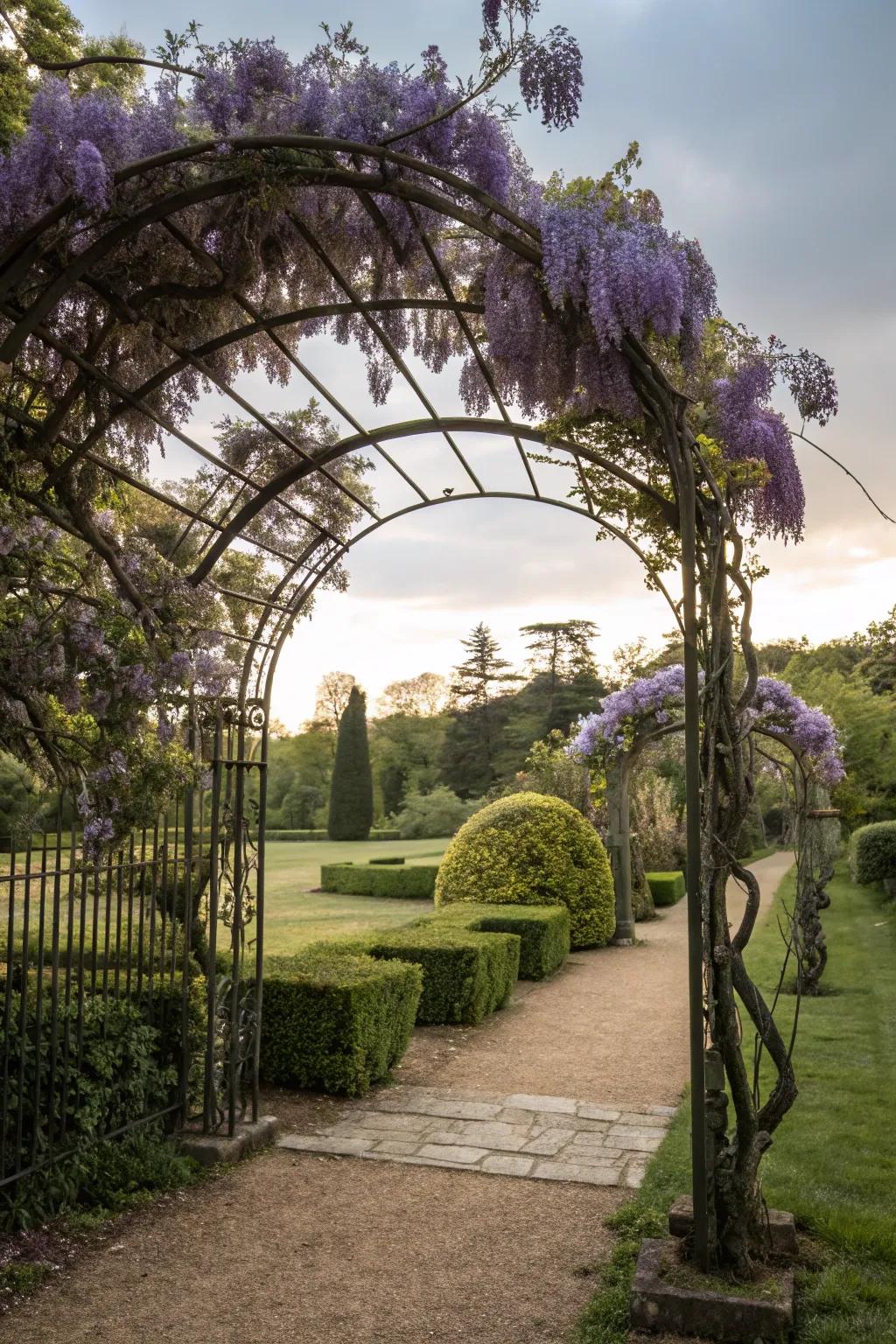 Wrought iron archways provide enduring allure and support for climbing flora.