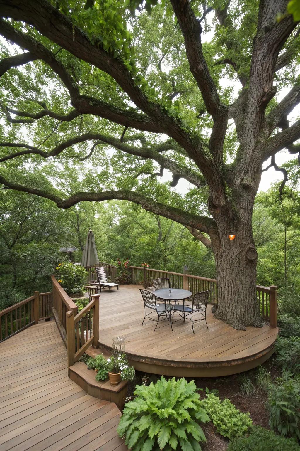 A platform or patio surrounding a tree fuses nature with living space.