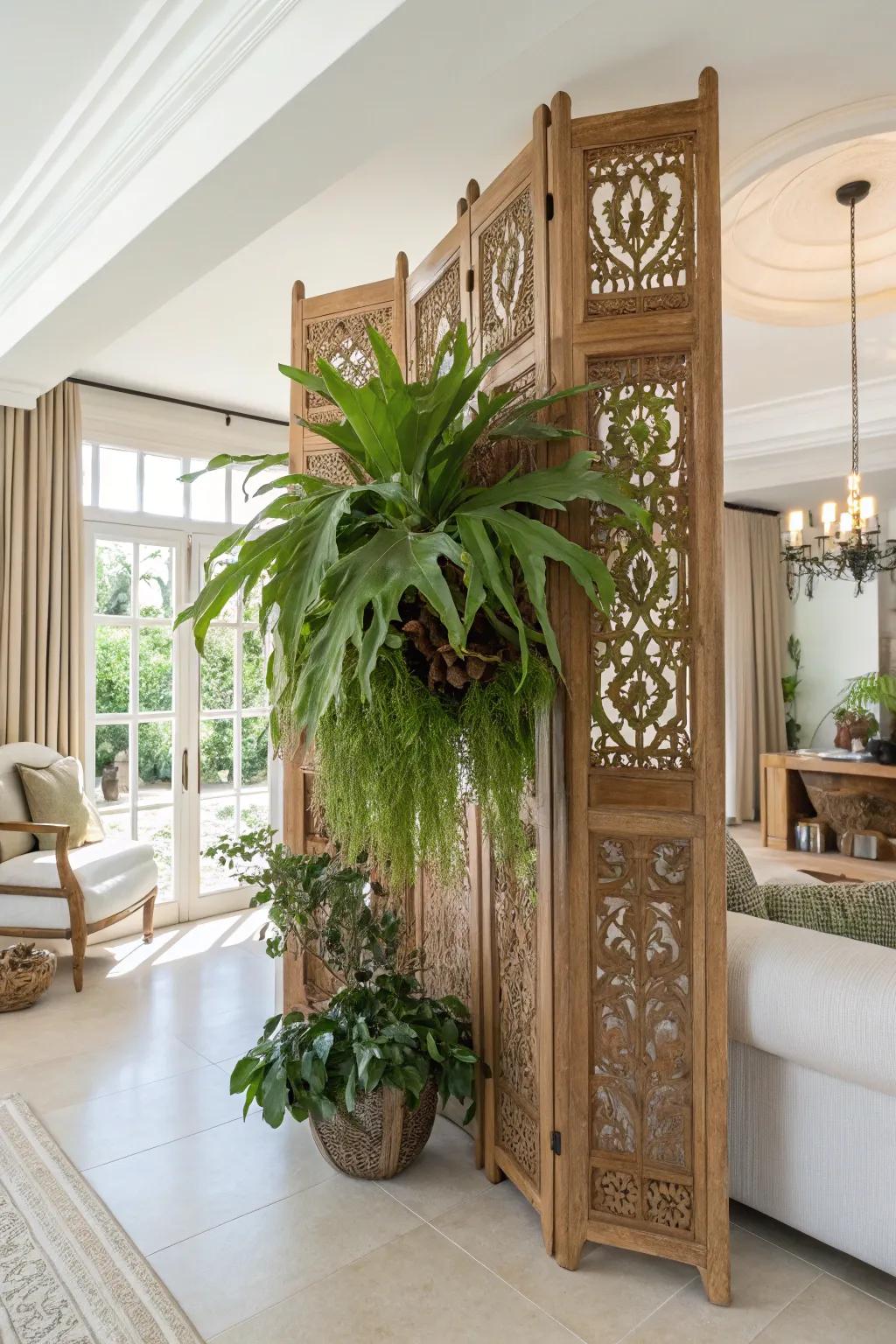 A decorative screen incorporates drama and sophistication to a staghorn fern display.