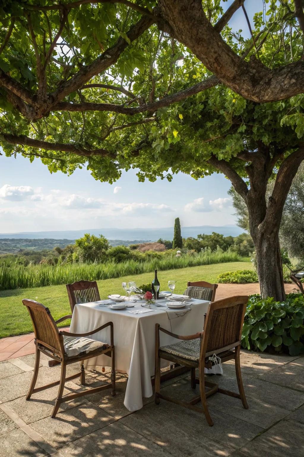 An outdoor eating space extends an enchanting al fresco saga.