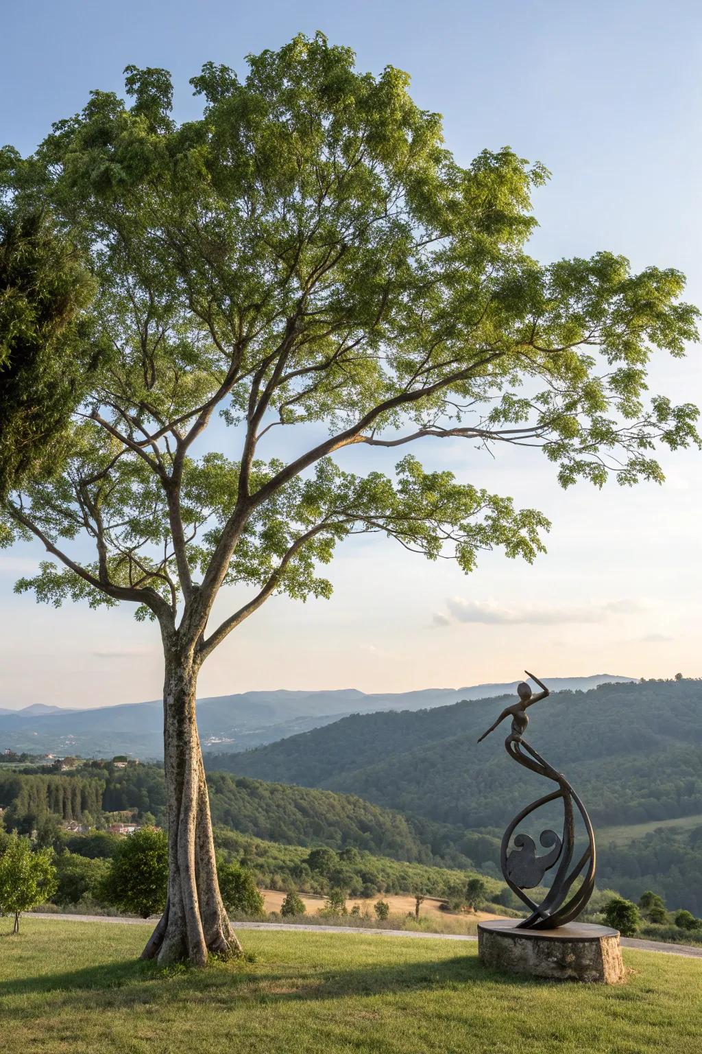 Artistic figures introduce a creative touch to tree landscaping.