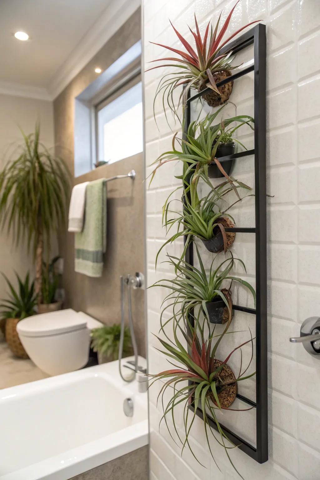 Tillandsia atmospheric botanicals extend a polished, avant-garde aesthetic.
