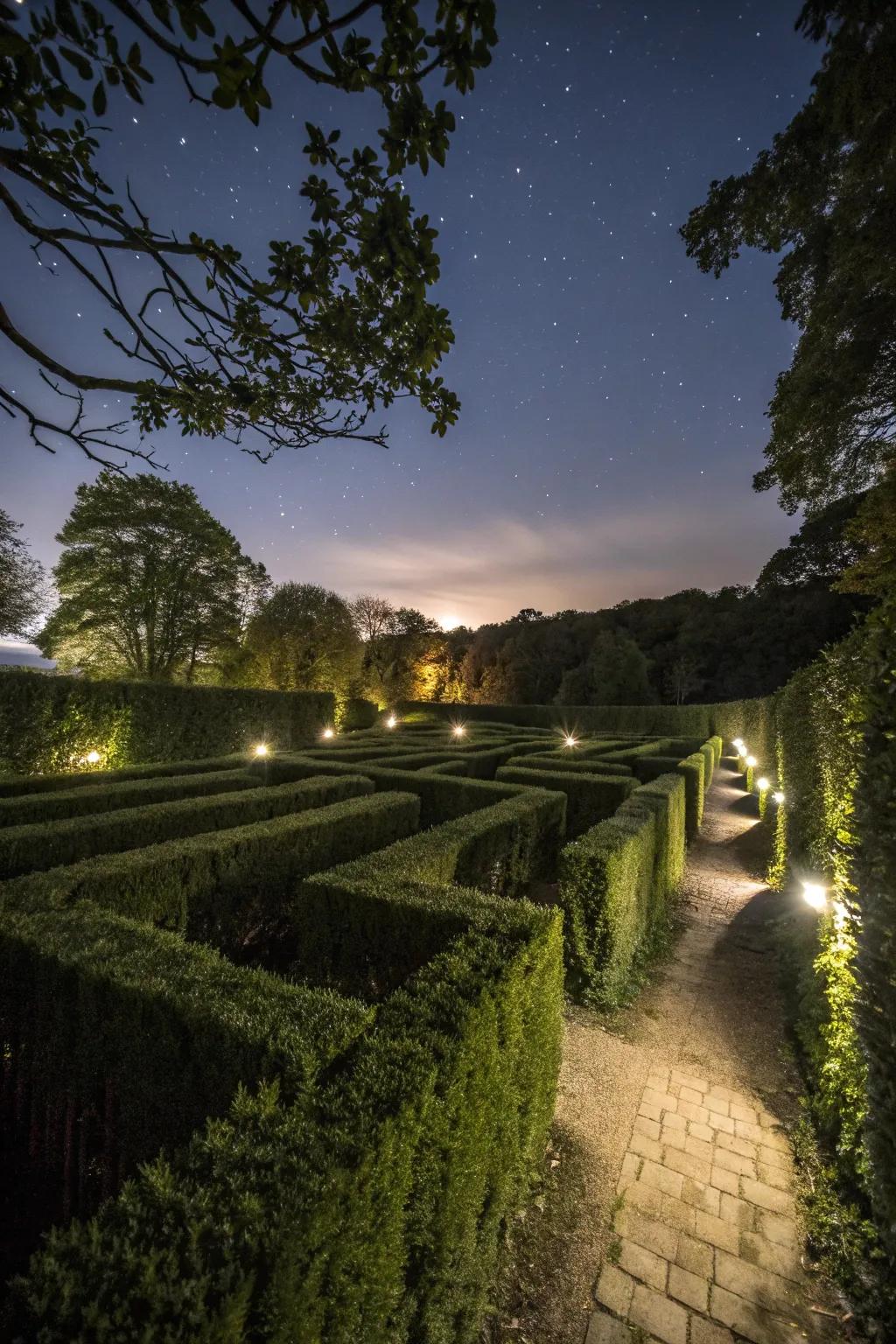 A mystical illumination labyrinth crafting a magical twilight luminescence.