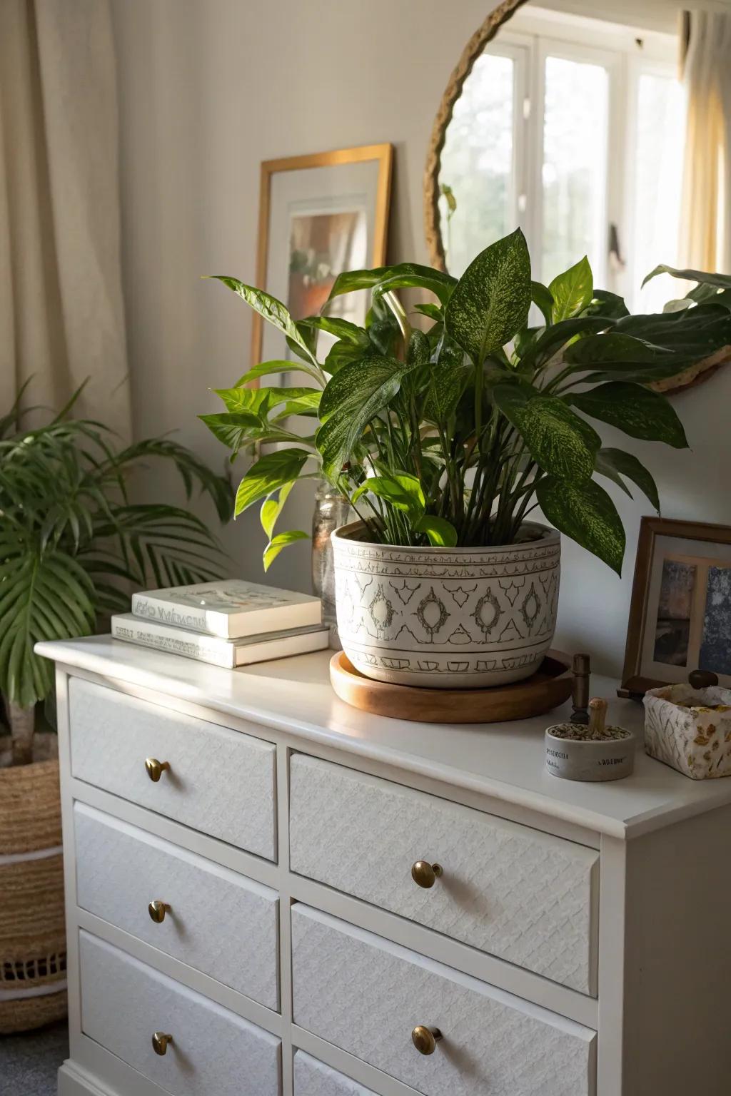 Greenery infuses any setting with a sense of renewal and energy.