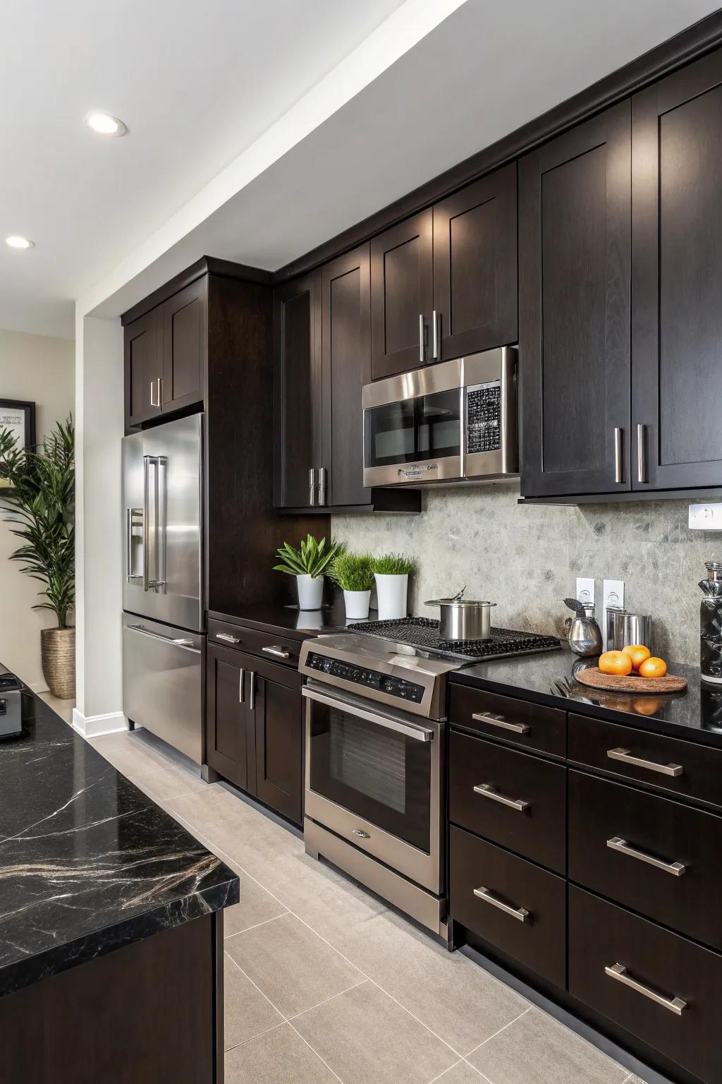 Deep-hued cupboards integrated with dark countertops for a seamless design.