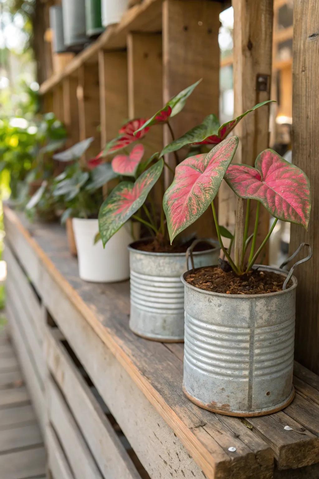 Time-honored receptacles add a note of nostalgia to your botanical compositions.
