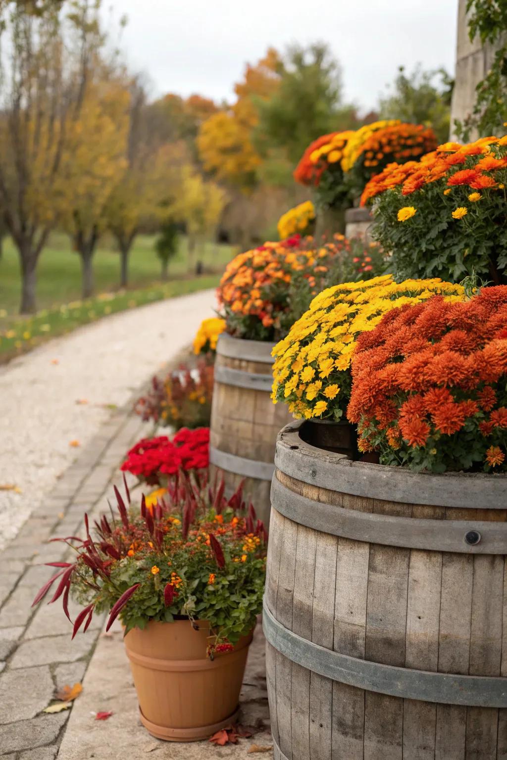 Incorporate countryside charm with timber barrels as containers.
