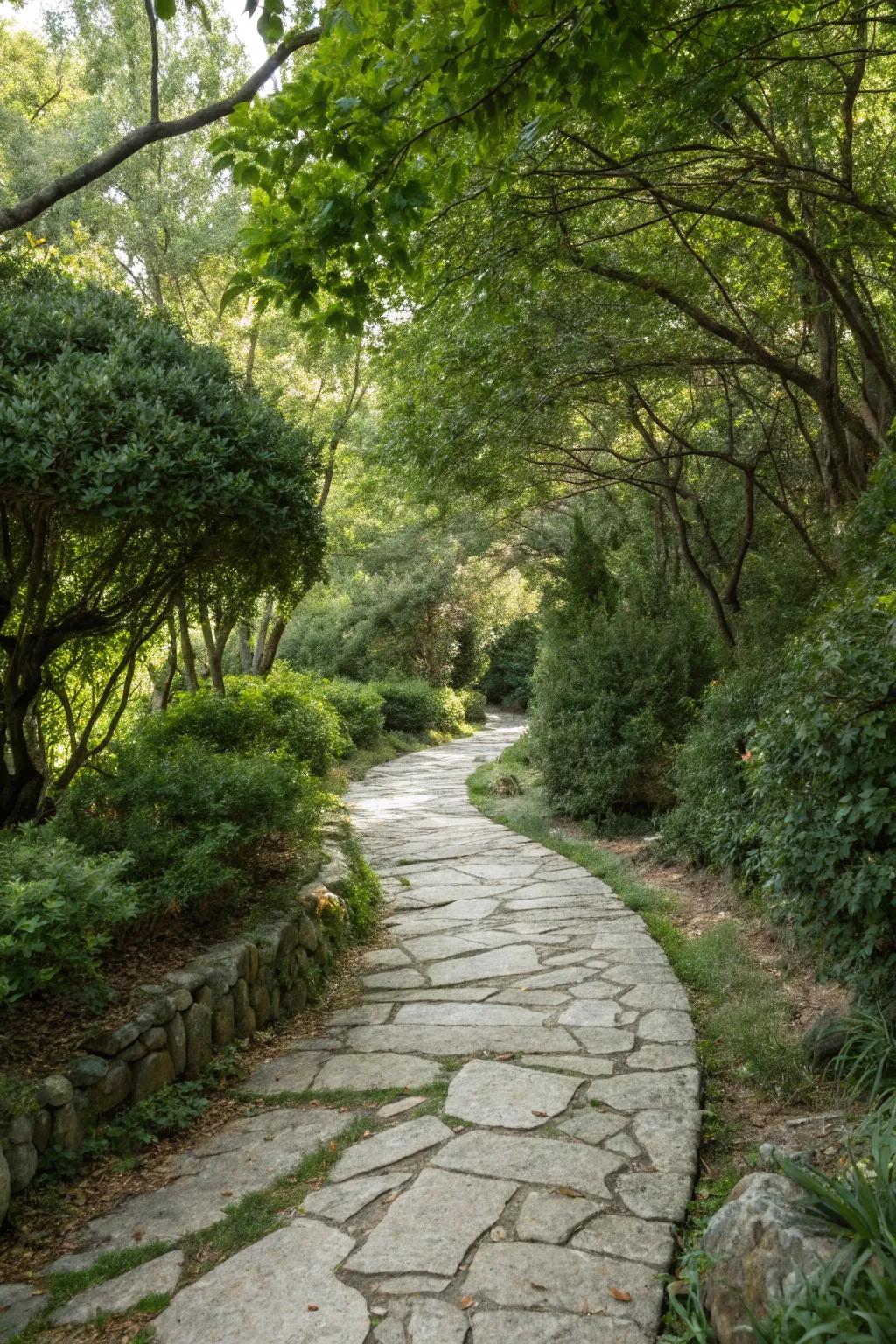 A winding stone path evoking curiosity and discovery.