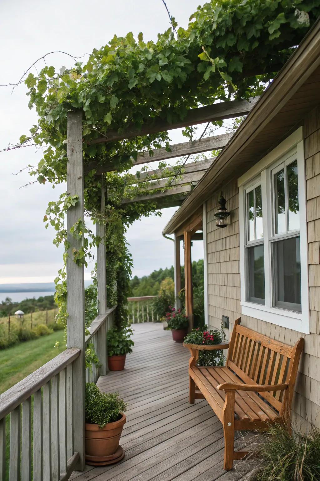 A pergola creates a fascinating dance of light and shadow.