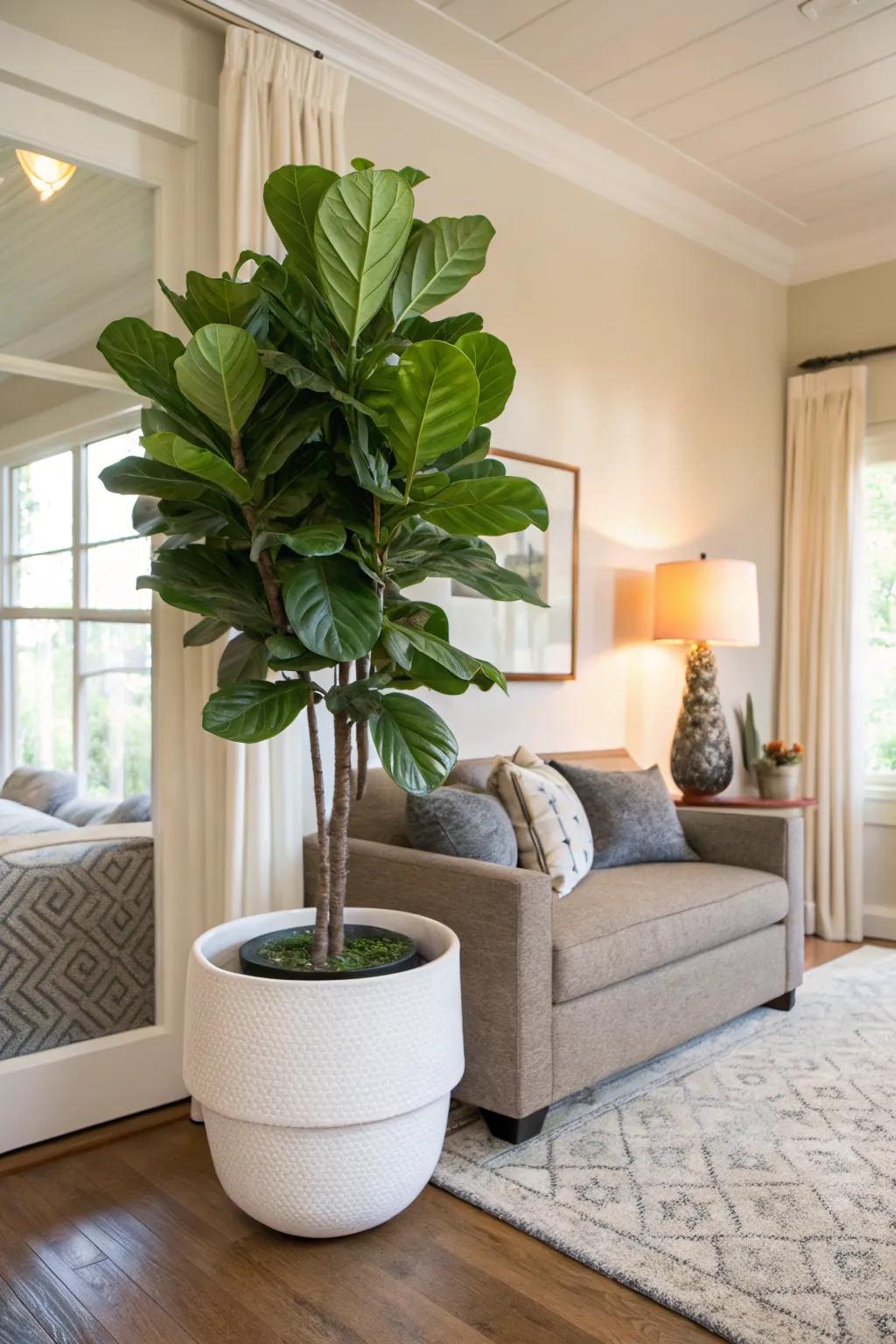 Introduce some greenery with a large plant in a stylish pot.