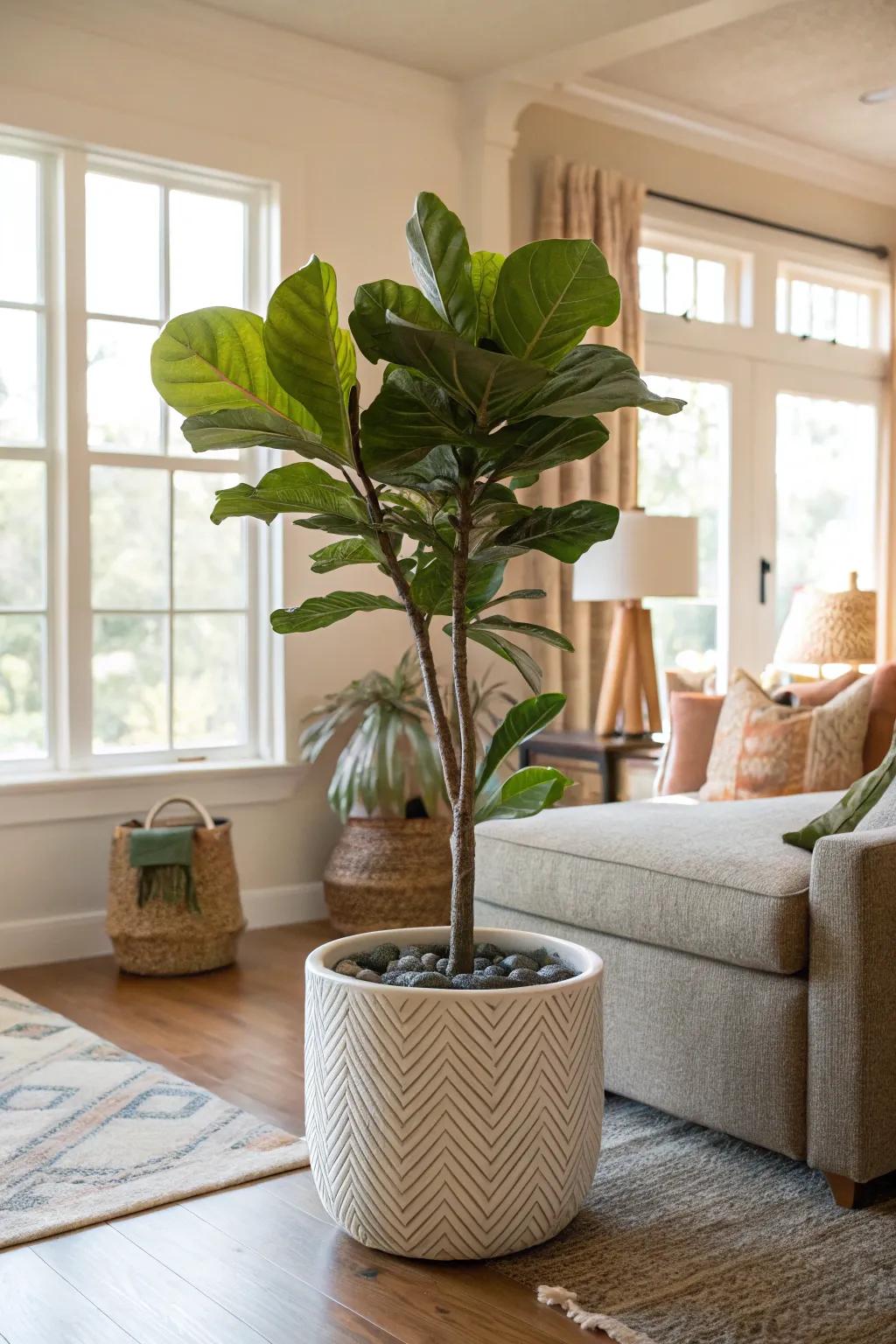 Introduce nature inside with a statement plant.