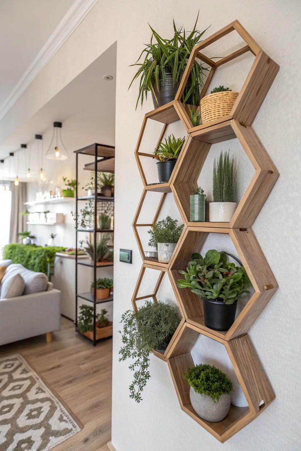 Shelving with geometric hexagon patterns creates a modern presentation for plants.