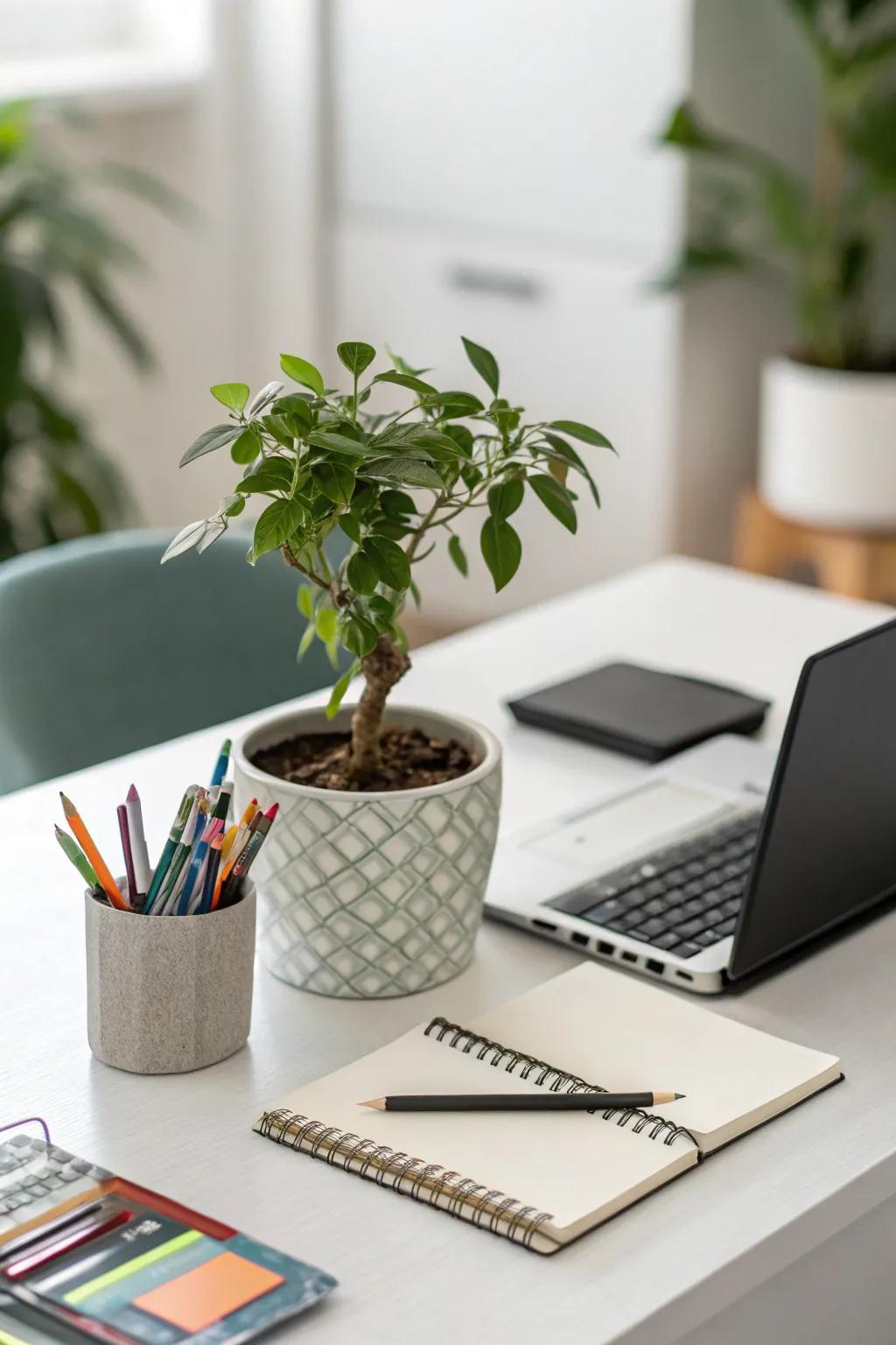 Enhance your desk with a hint of nature.