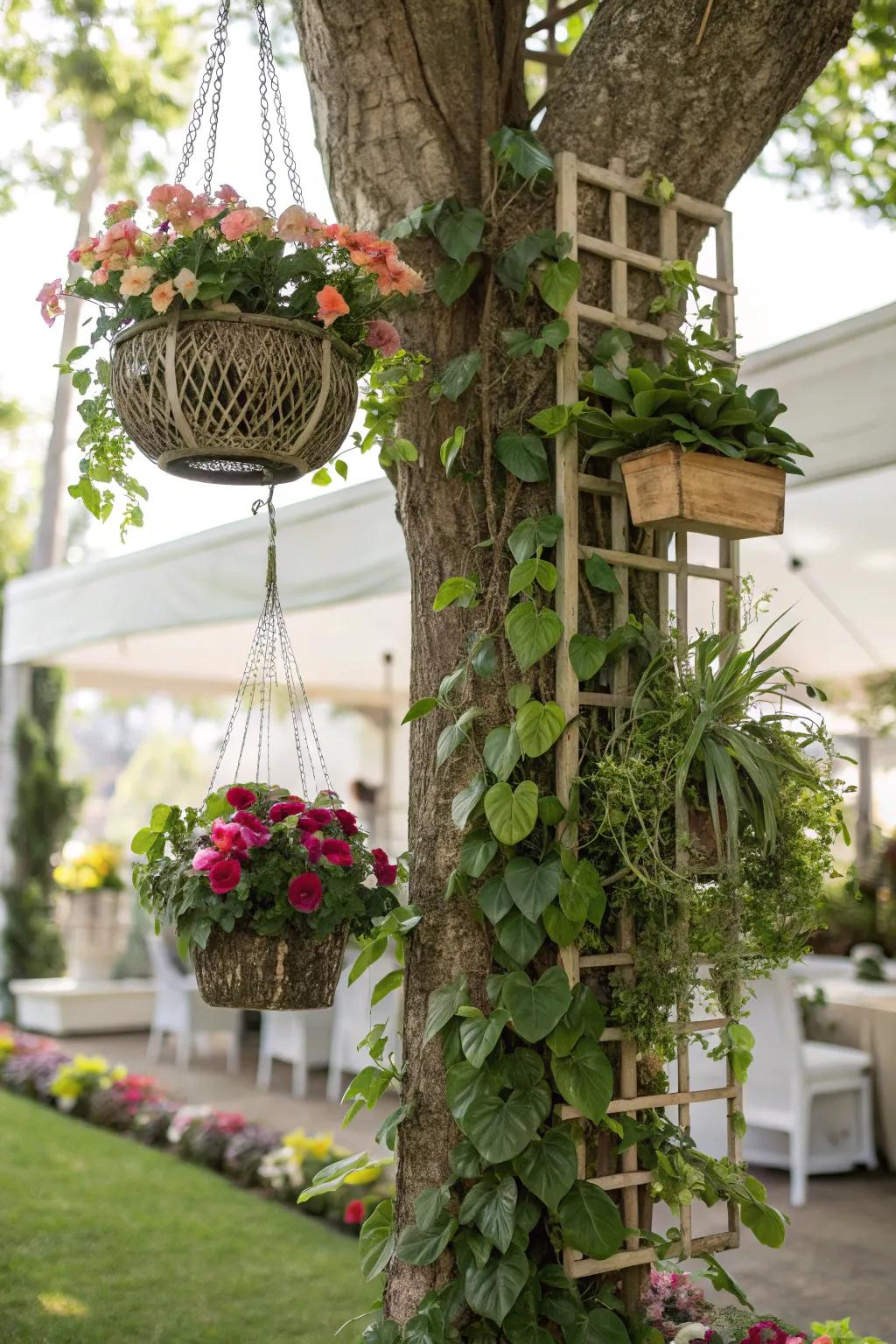 Upright gardening adds layers and intrigue to tree landscapes.