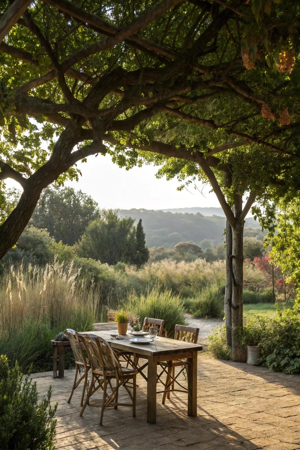 A dining area shaded by natural tree roofs.