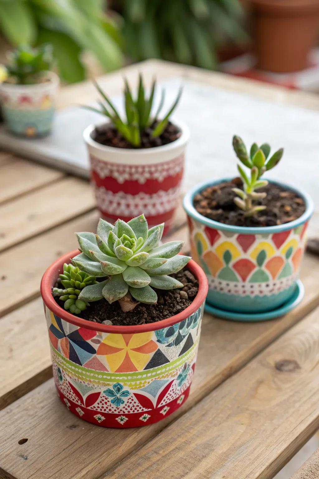 Succulent plants are delightful, easy-care presents that guests will appreciate.