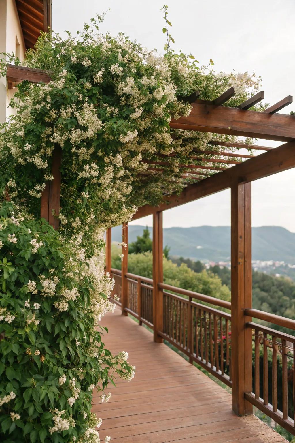 A trellis with climbing flora delivers a natural roof.