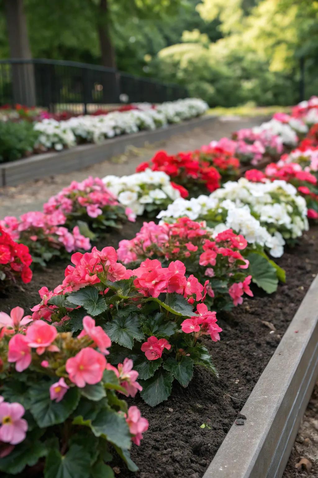 Produce a garden masterpiece with vibrant bloom bud designs.