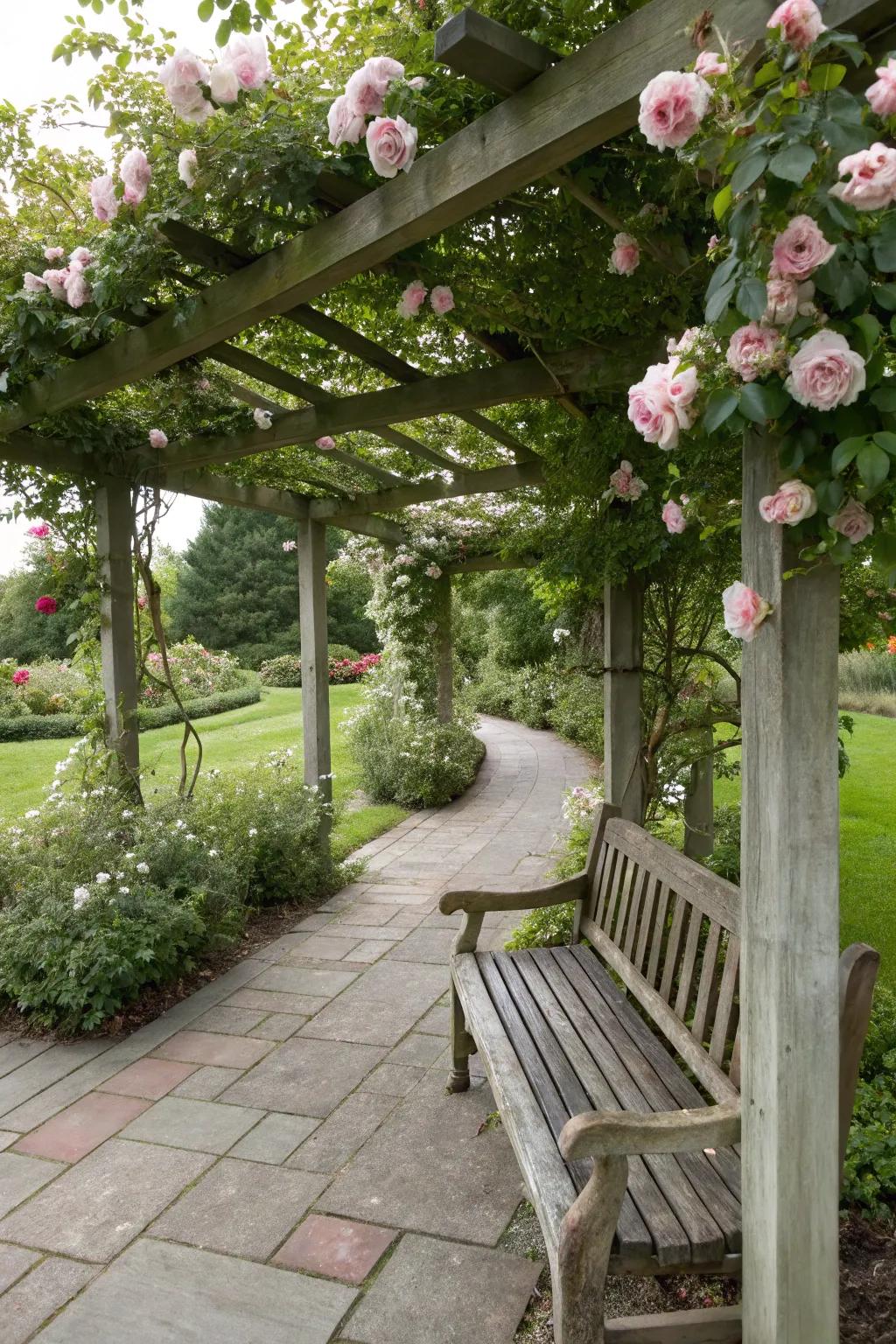 Design a dreamy retreat with a rose-adorned pergola.