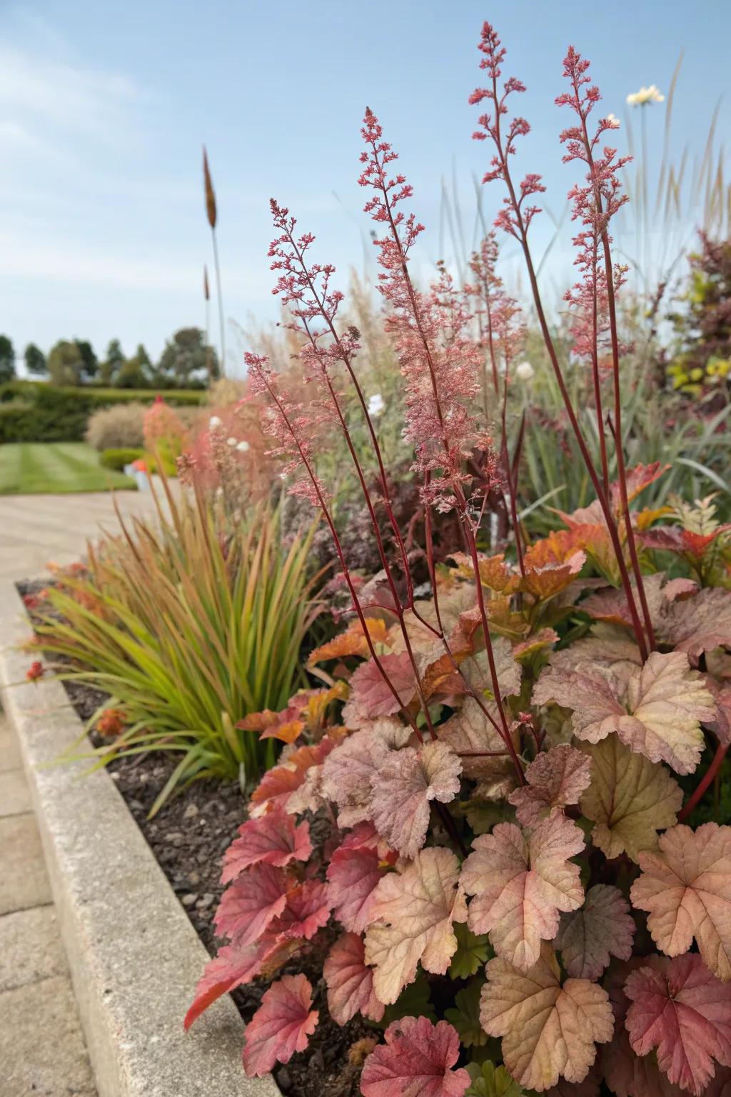 A terraced garden bed enriched with huecheras injects added dimension and aesthetic appeal to the scenery.