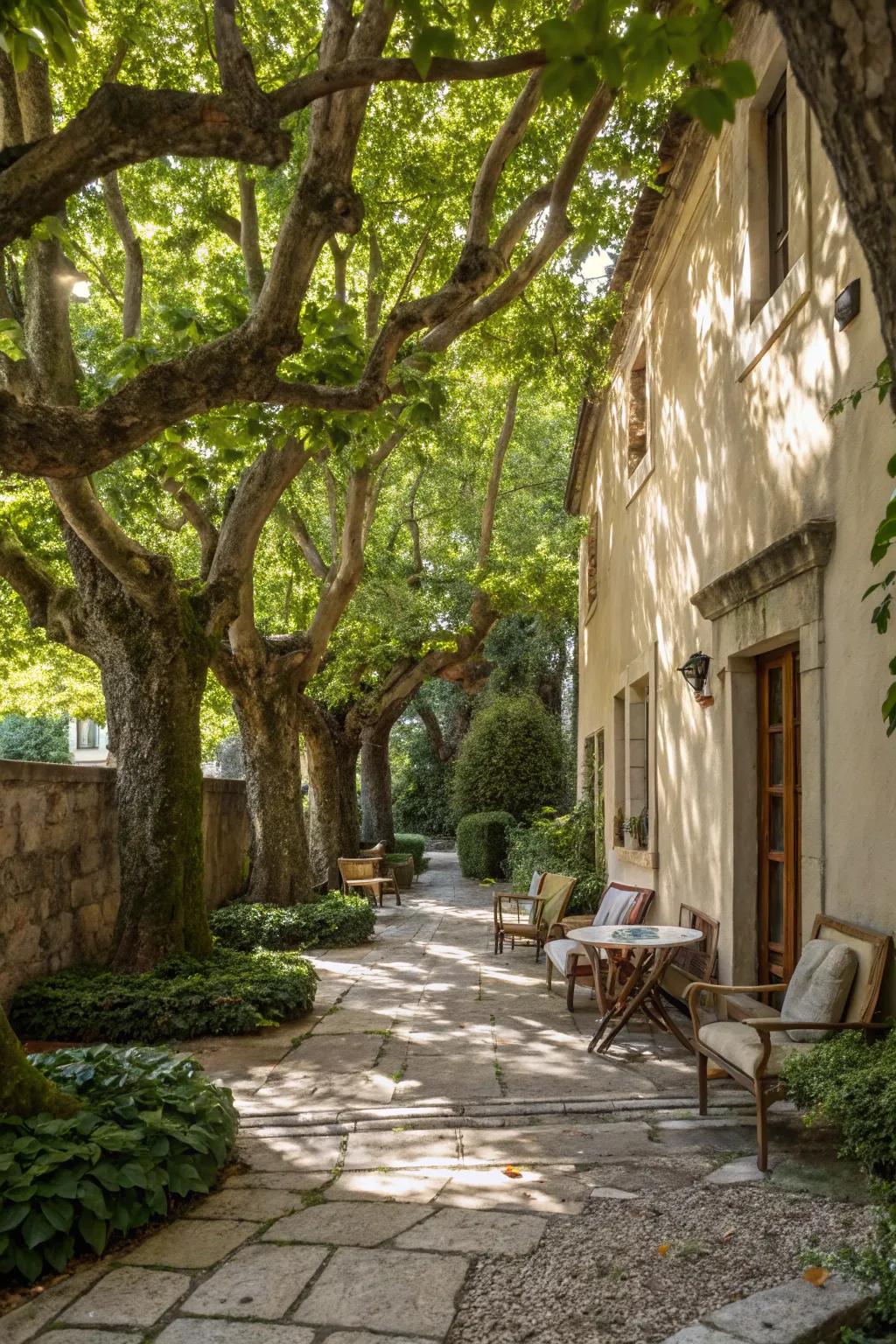 Established trees form a naturally shaded and attractive courtyard area.