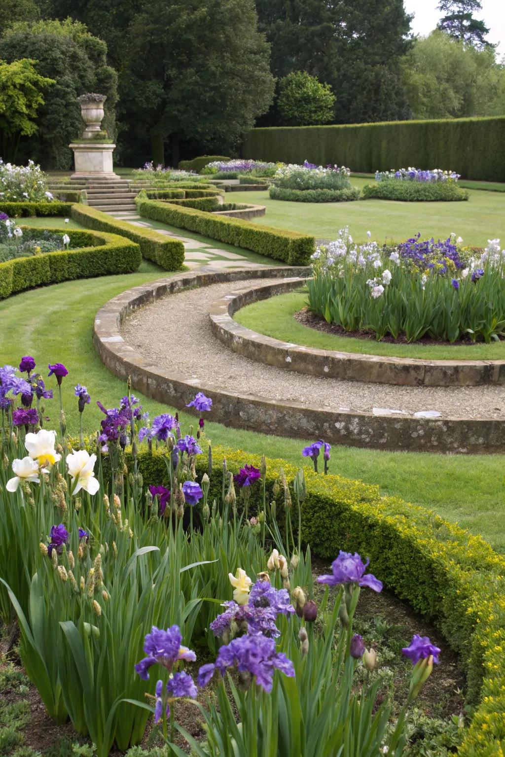 Round groupings of glimmer flowers developing focal points within the garden.
