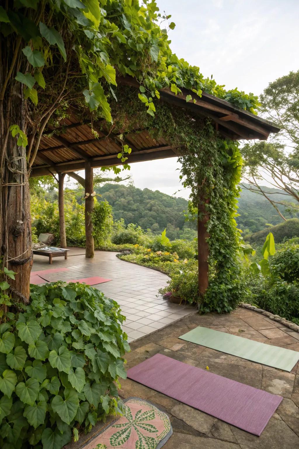 Plants not only beautify, but also soothe and protect your yoga retreat.