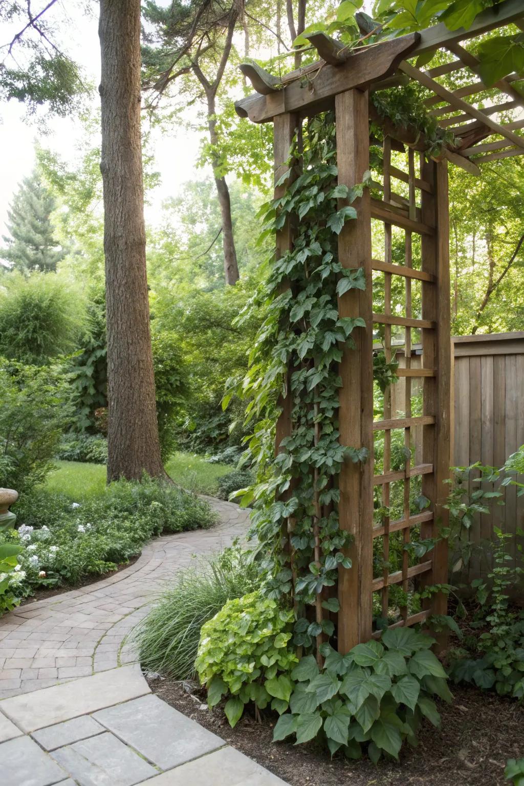 A vertical garden infuses vitality into constrained areas.