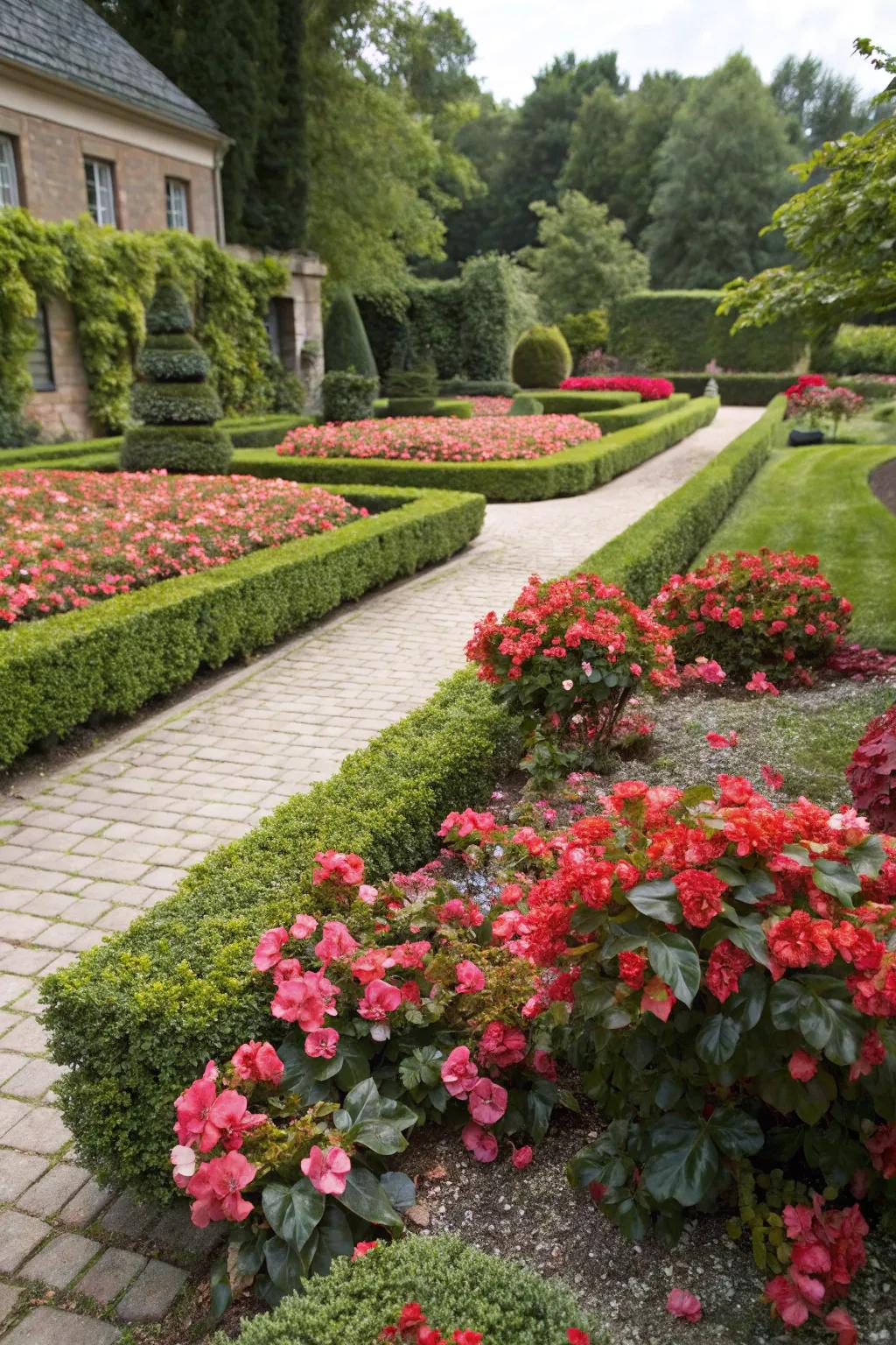 Bloom buds effortlessly merge traditional and relaxed garden aesthetics.