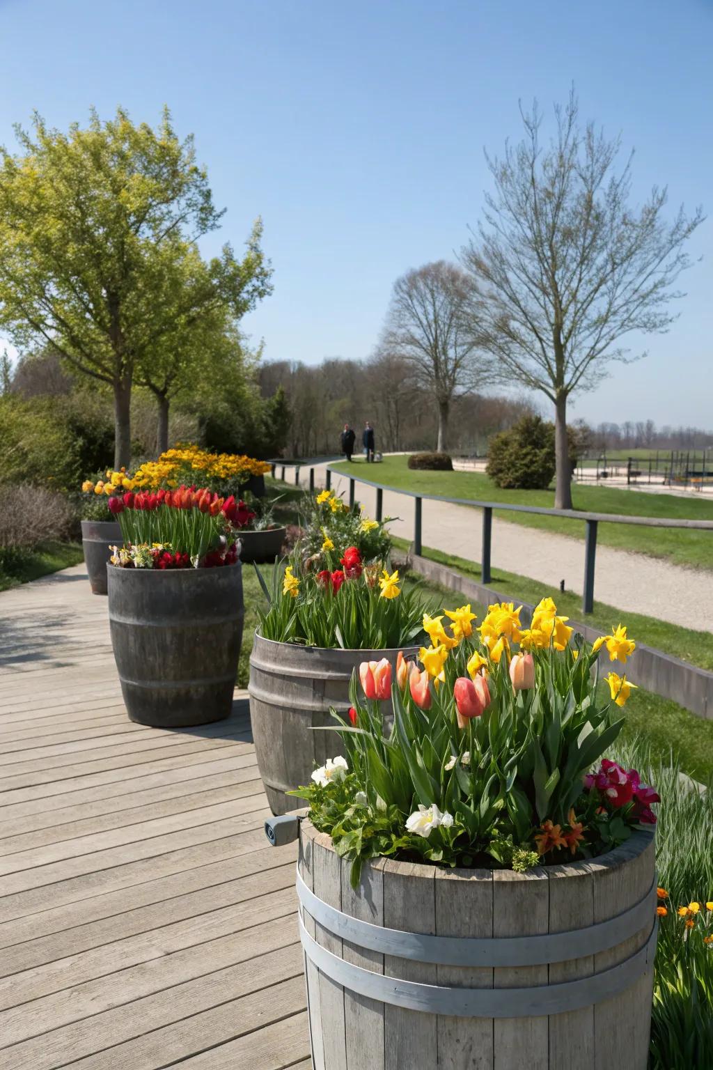 Seasonal flowers adding freshness to container gardens.