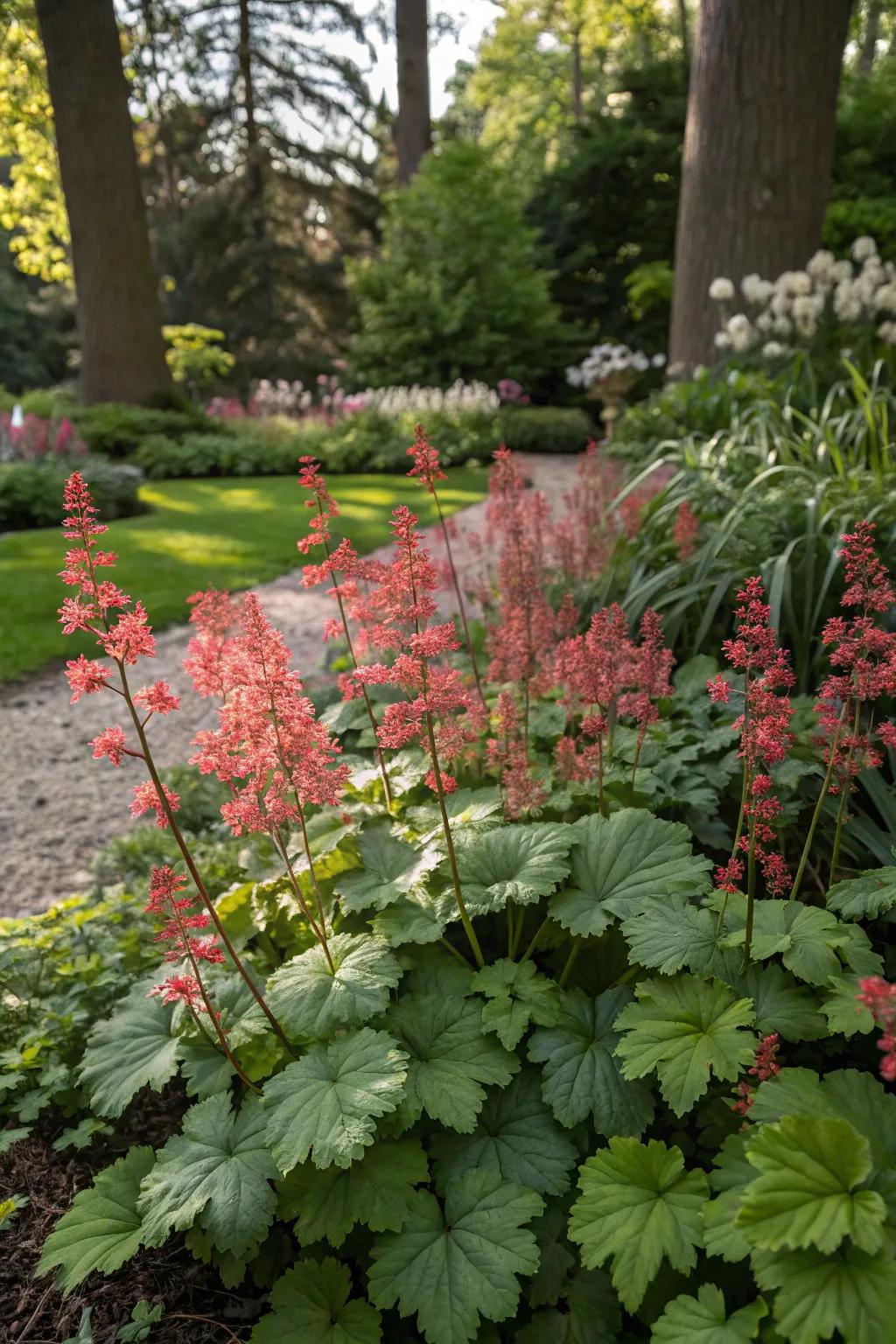 Huecheras contribute color and vitality to a serene, shaded nook in the garden.