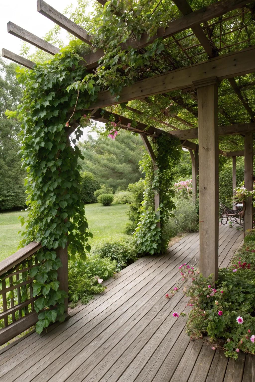 A pergola adorned with climbing plants, integrating nature into the overall design.