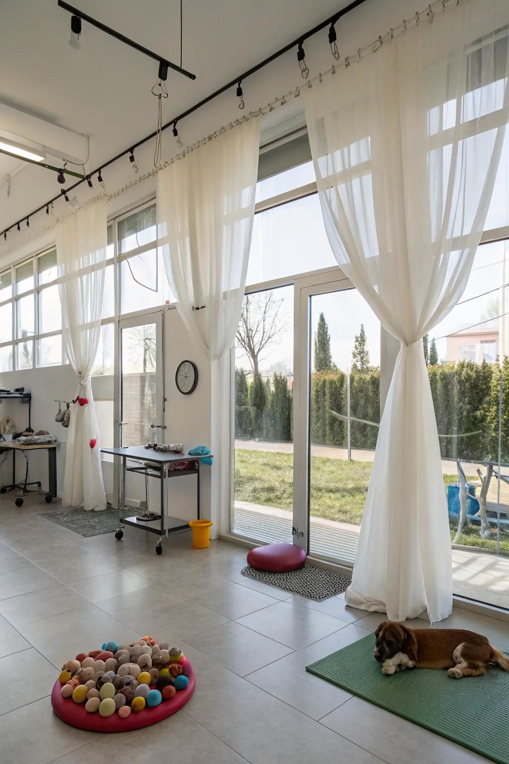 Maximized natural illumination via expansive windows and translucent window treatments.