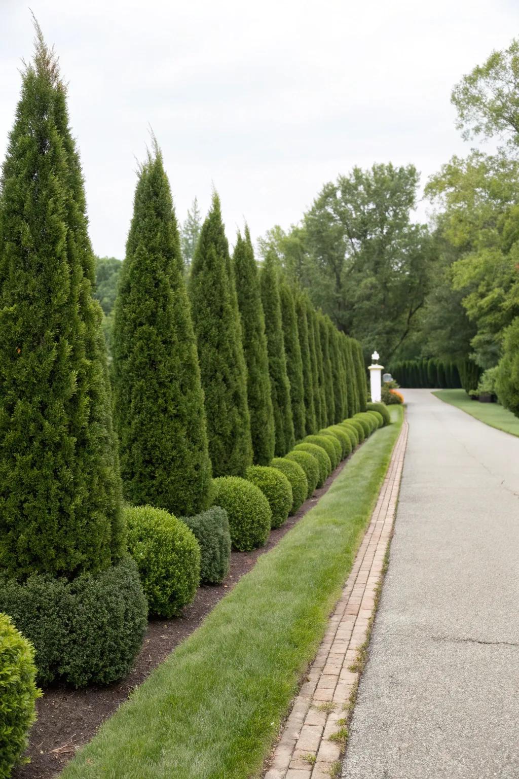 Evergreen shrubs ensure continuous verdancy and structure.