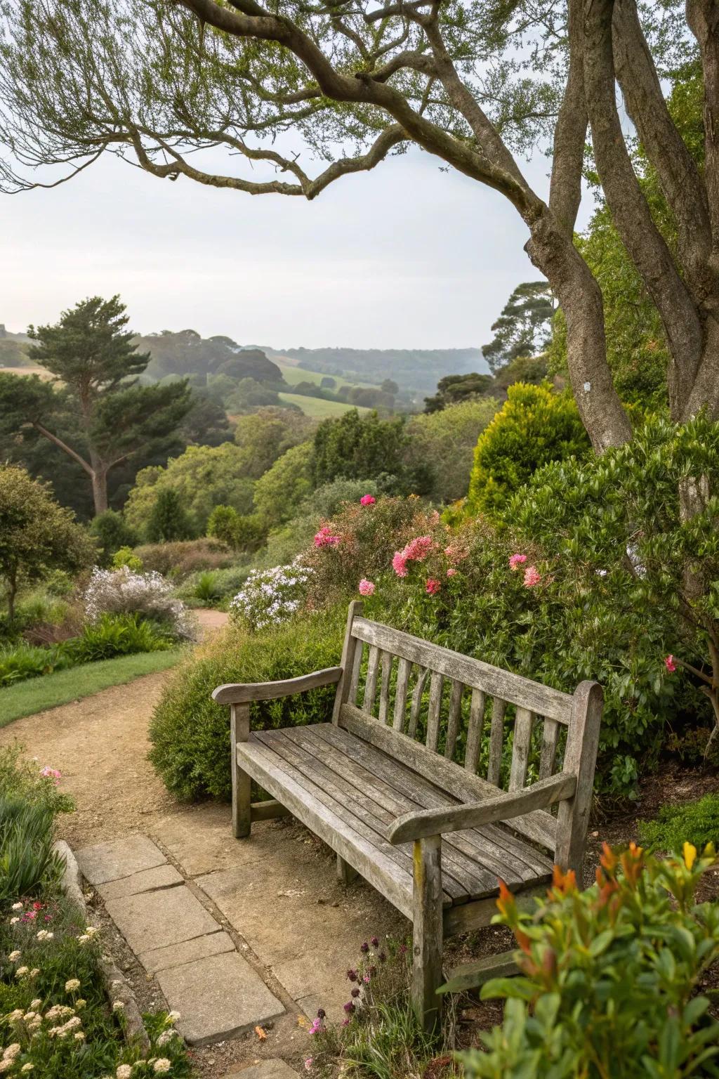 A natural bench offering a serene location for nature appreciation.