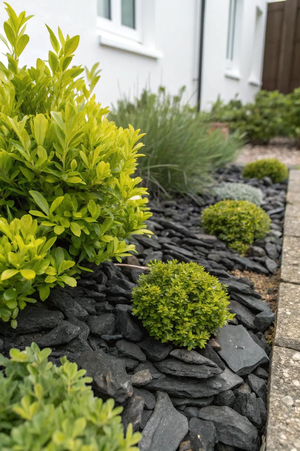 Highlight the verdant hues of your garden with contrasting stone fragments.