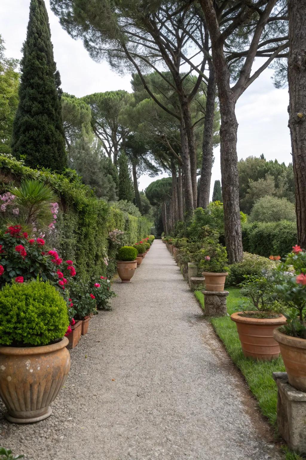 A gravel path elegantly bordered with diverse containers.