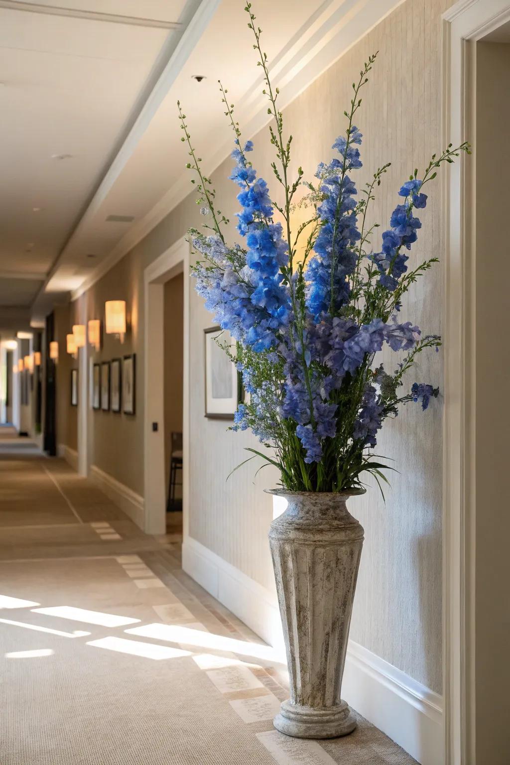 Soaring delphinium stems bringing elegance to a foyer.