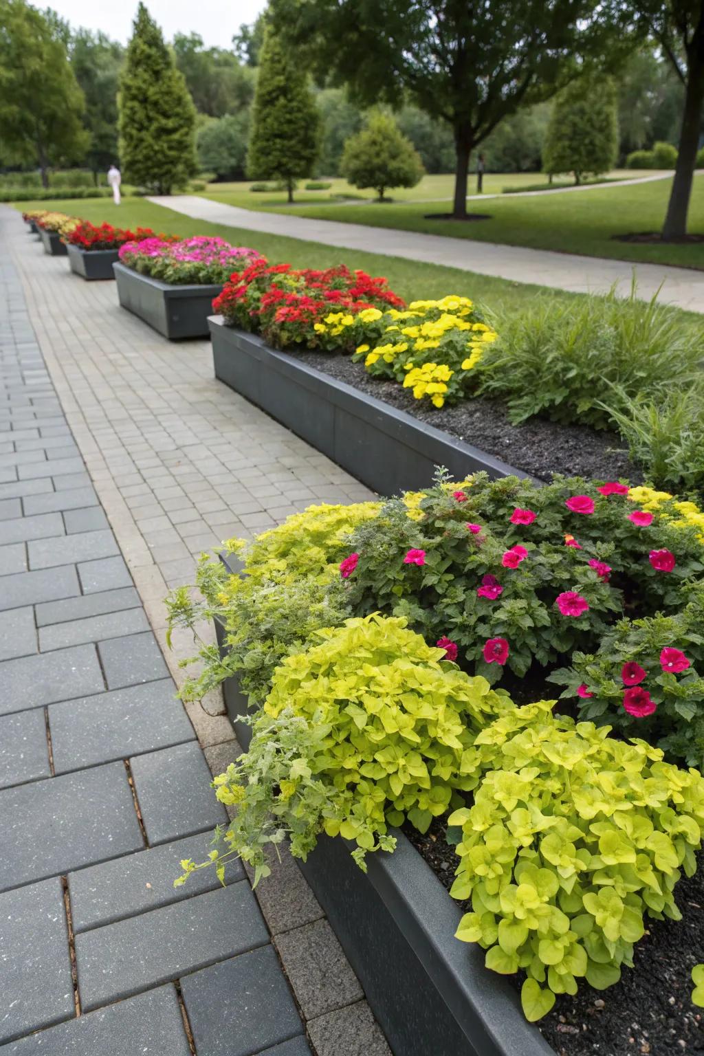 Contrasting colors produce a visually arresting garden.