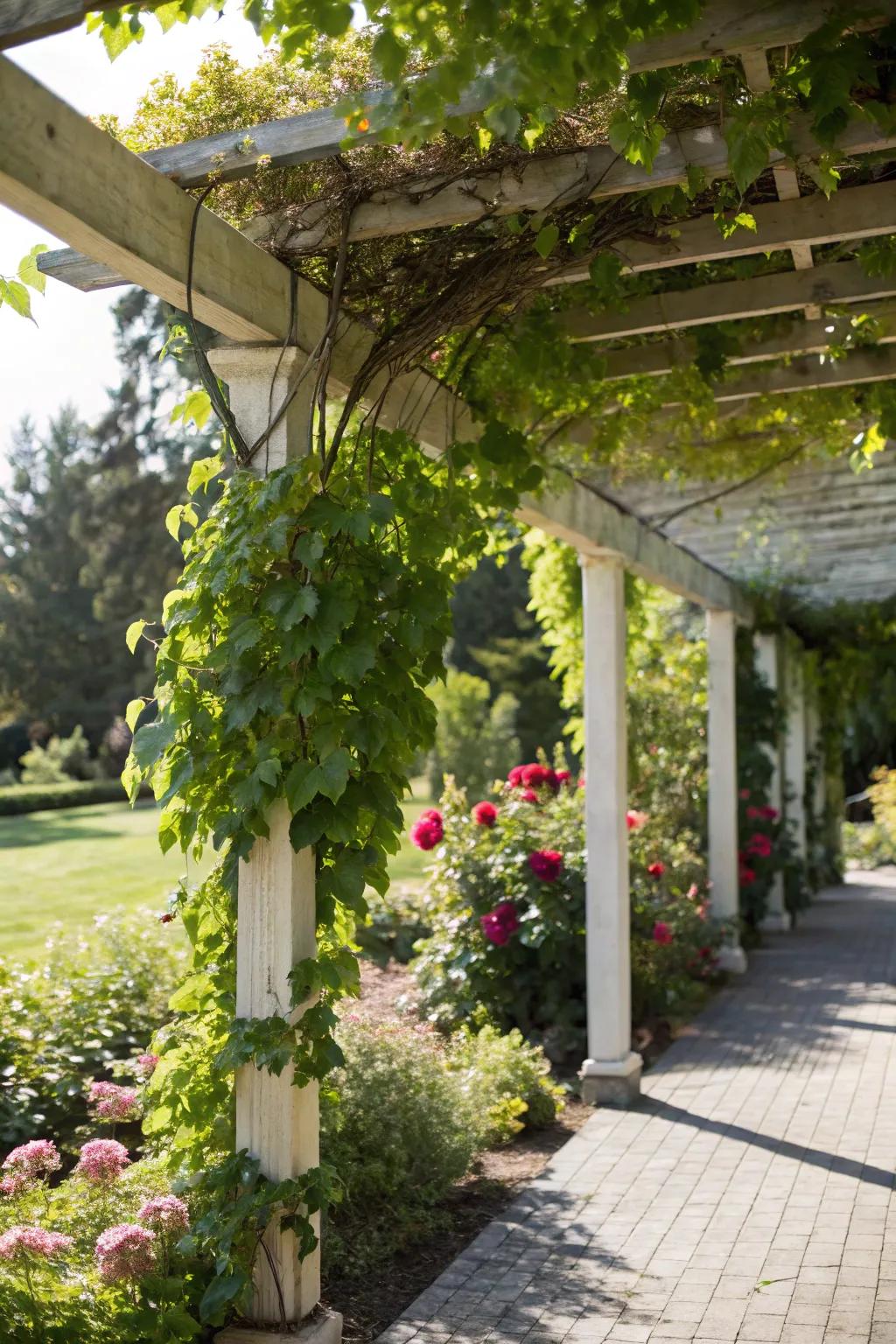 Natural vegetation enhances the pergola’s connection with the garden.