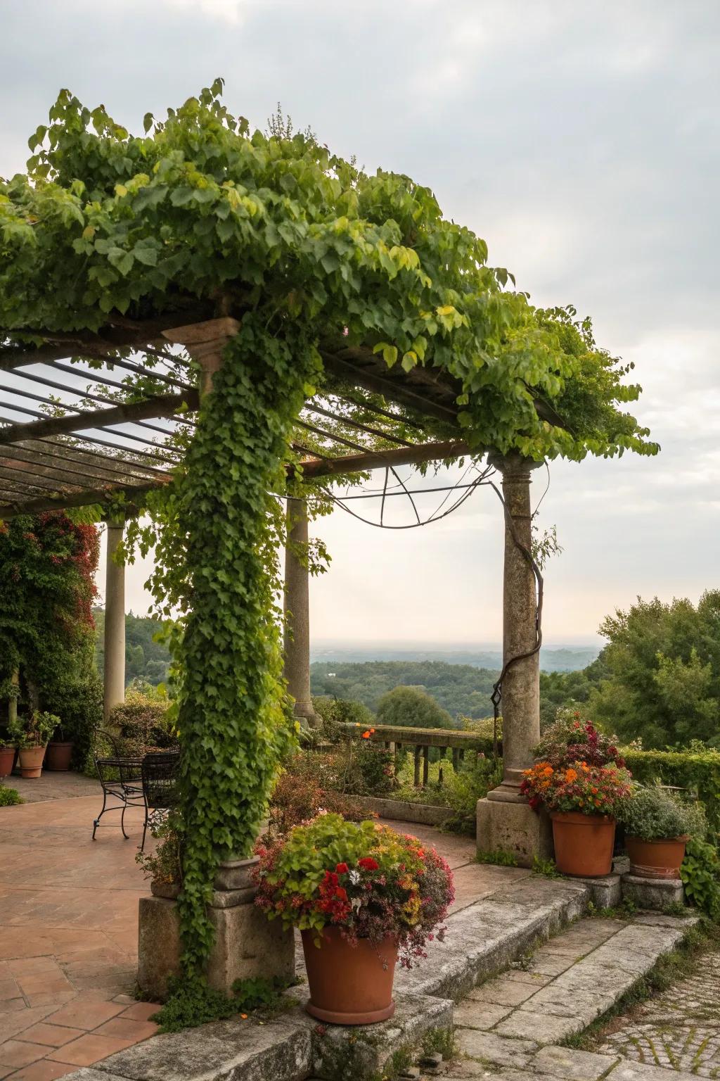 Greenery injects life and vibrancy into your pergola’s ambiance.