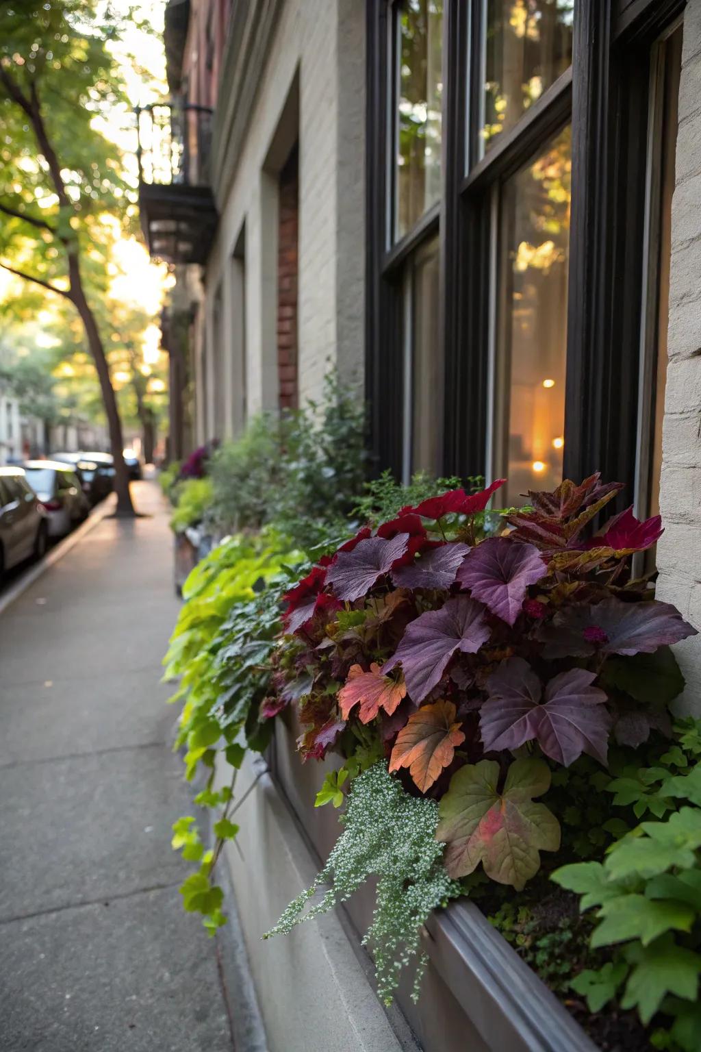 The rich foliage of Heuchera gives any display more depth and texture.