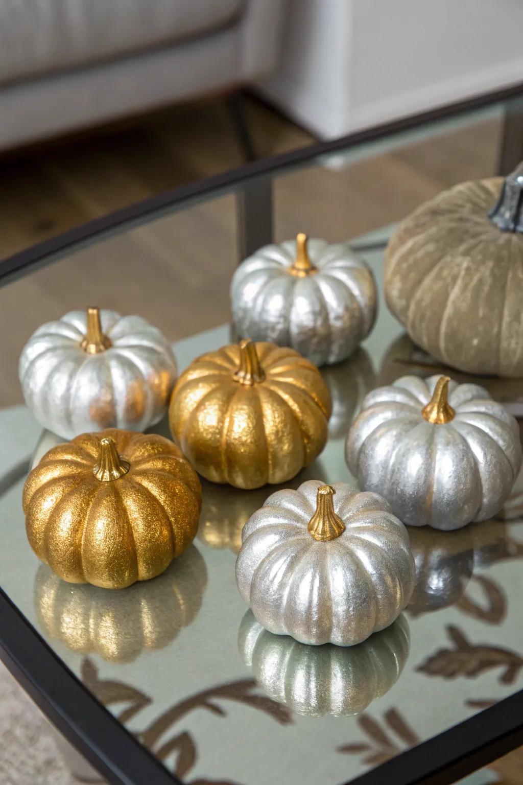 Metal-inspired squashes radiate with sophistication and class.