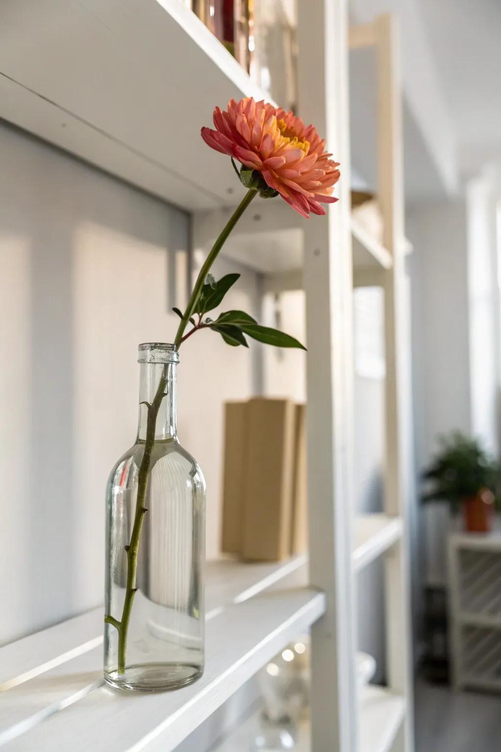 A single flower in a grape juice container creates a minimalist statement.