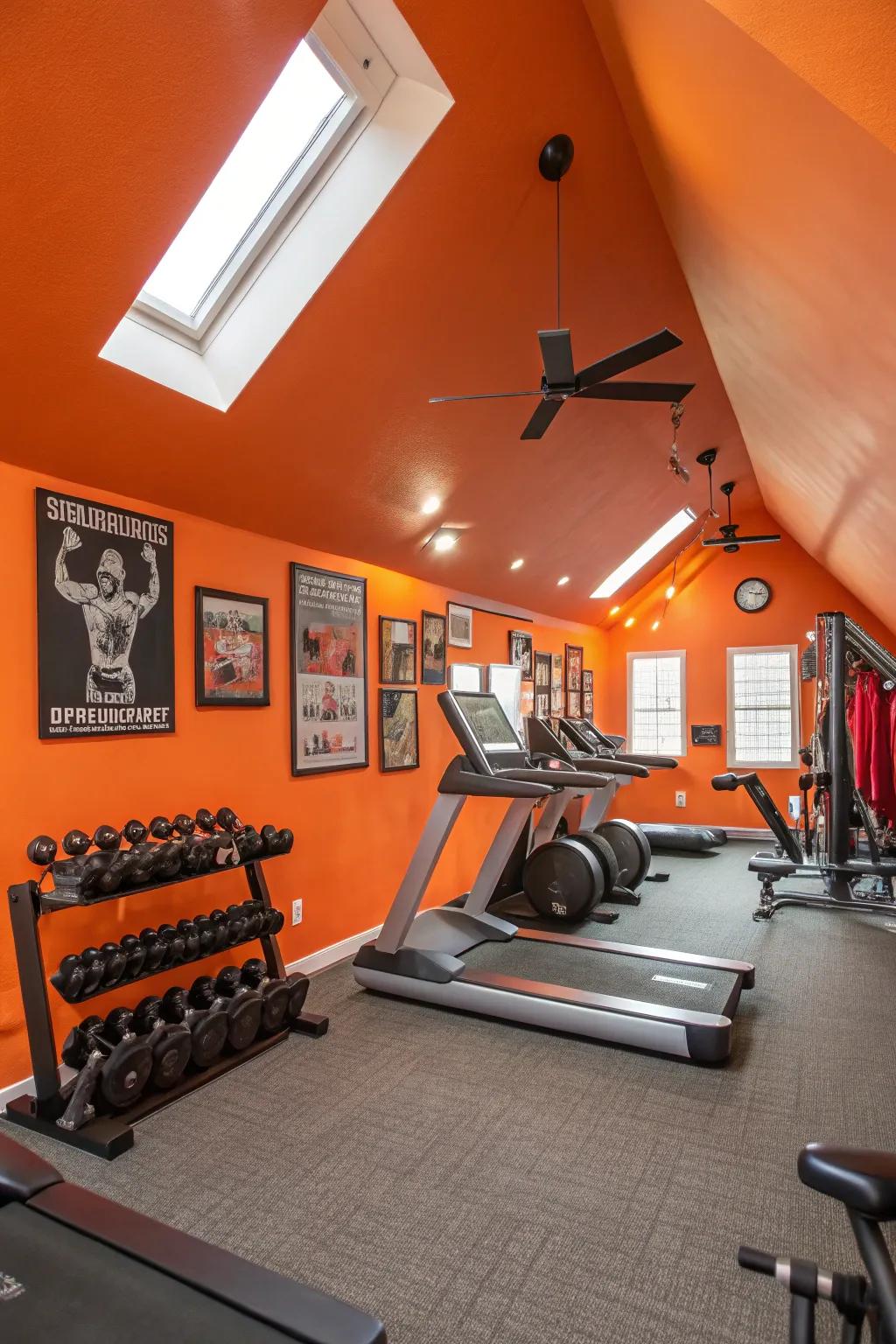 Your exercise environment is energized and uplifted by vibrant colors.