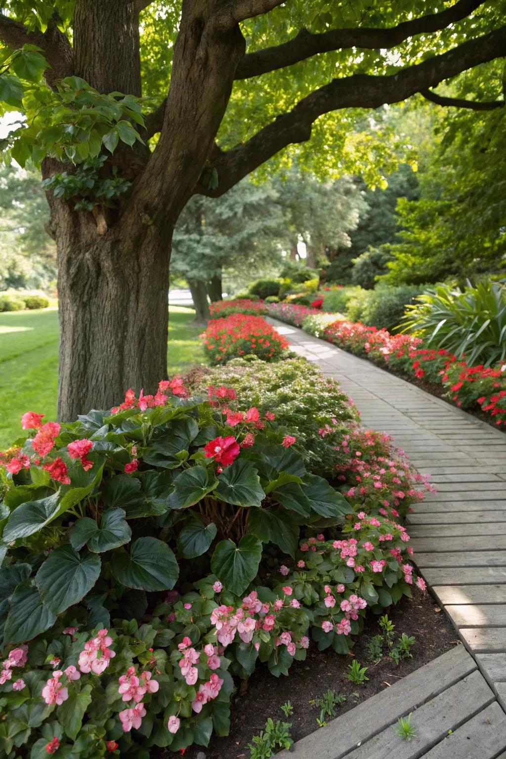 Bloom buds prosper in partial shade, crafting a multi-layered garden look.