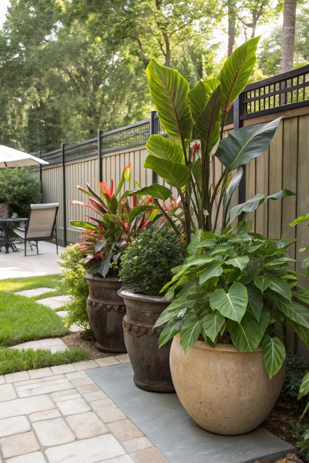 Potted plants provide customizable and natural privacy solutions.