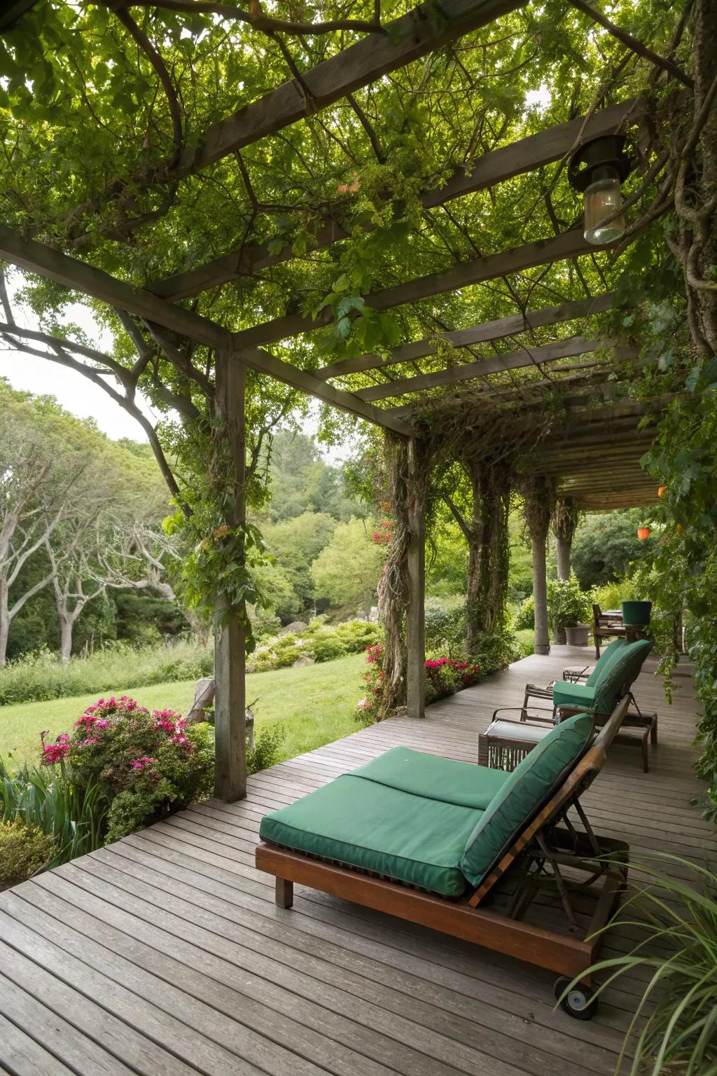 An organic canopy of foliage provides shade and a refreshing, natural influence.