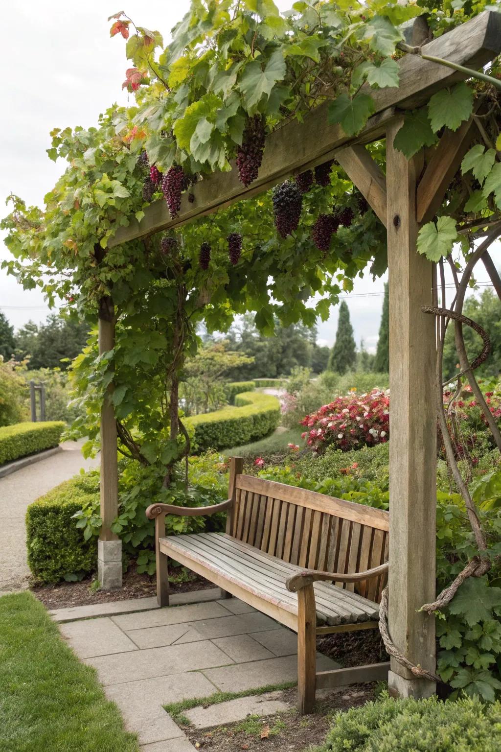 Loosen up and unwind with integrated seating beneath a grape-draped pergola.